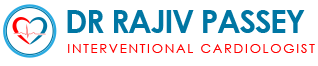 website-logo
